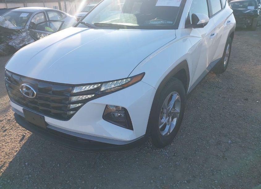 Photo 18 of 2024 Hyundai Tucson SEL (VIN 5NMJB3DE1RH329163)