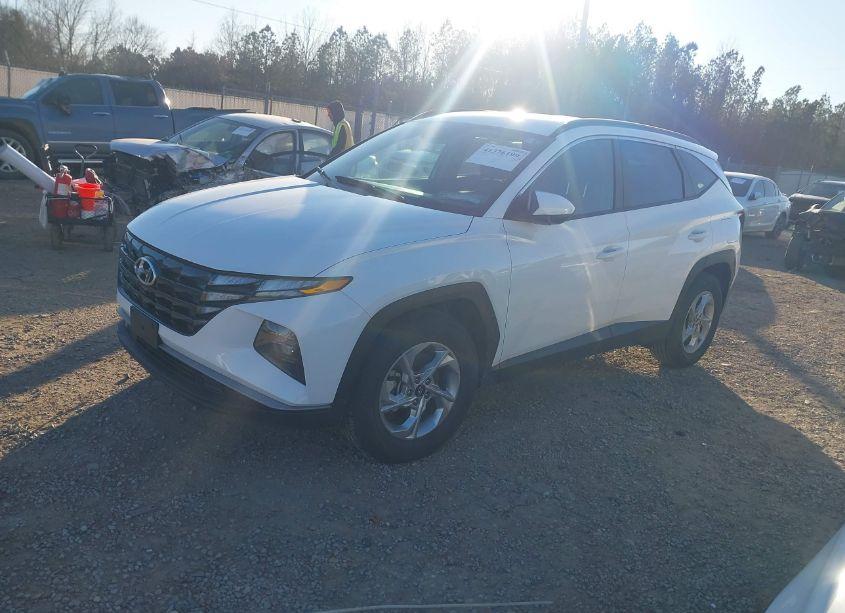 Photo 2 of 2024 Hyundai Tucson SEL (VIN 5NMJB3DE1RH329163)