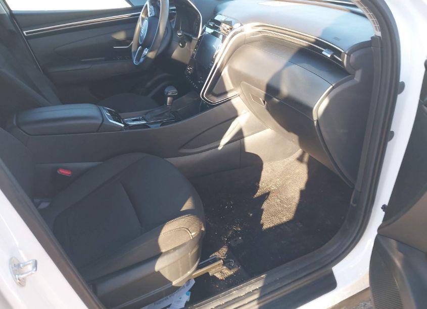 Photo 5 of 2024 Hyundai Tucson SEL (VIN 5NMJB3DE1RH329163)