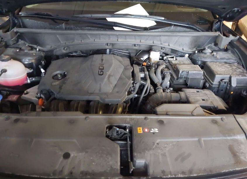 Photo 10 of 2024 Hyundai Tucson SEL (VIN 5NMJB3DE1RH330166)