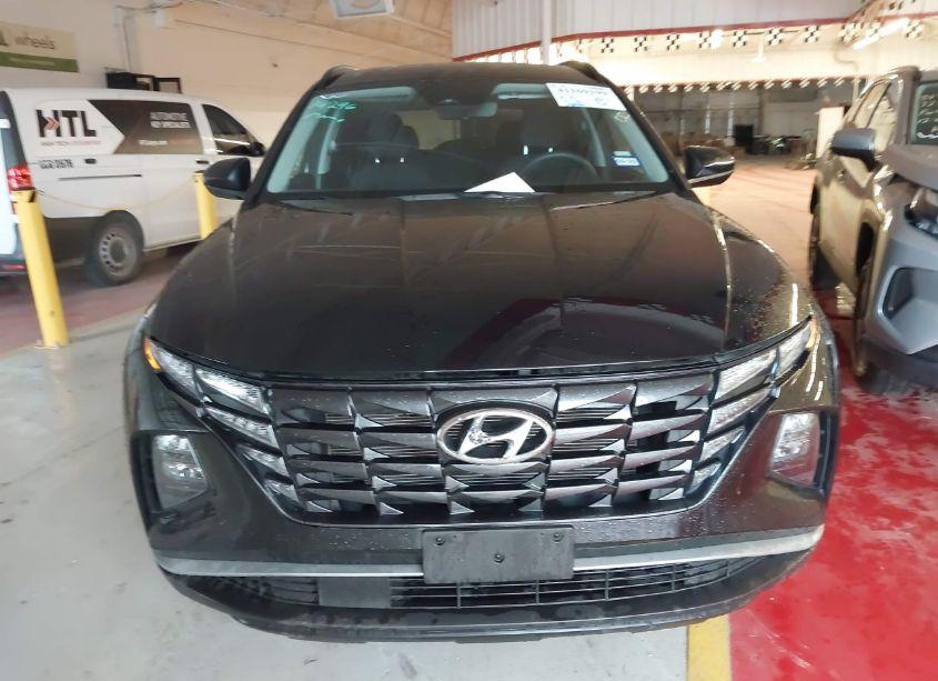 Photo 11 of 2024 Hyundai Tucson SEL (VIN 5NMJB3DE1RH330166)