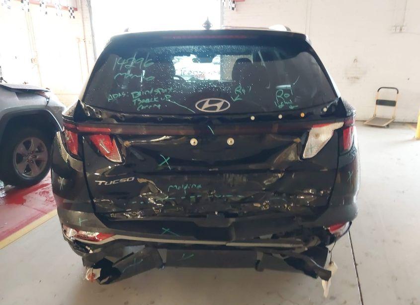 Photo 15 of 2024 Hyundai Tucson SEL (VIN 5NMJB3DE1RH330166)