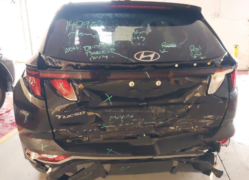 Photo 6 of 2024 Hyundai Tucson SEL (VIN 5NMJB3DE1RH330166)