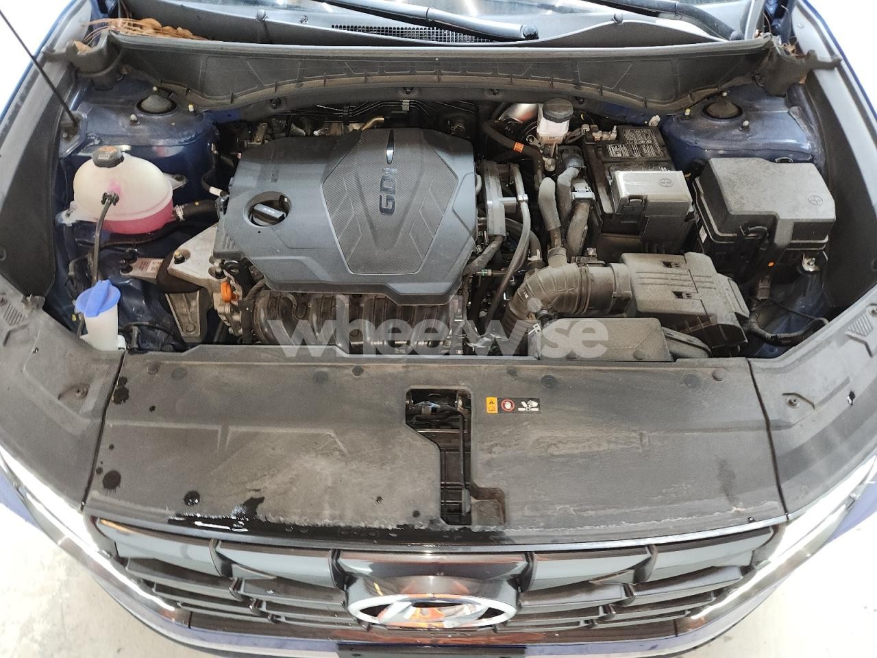 Photo 12 of 2024 HYUNDAI TUCSON SEL (VIN 5NMJB3DE1RH344195)