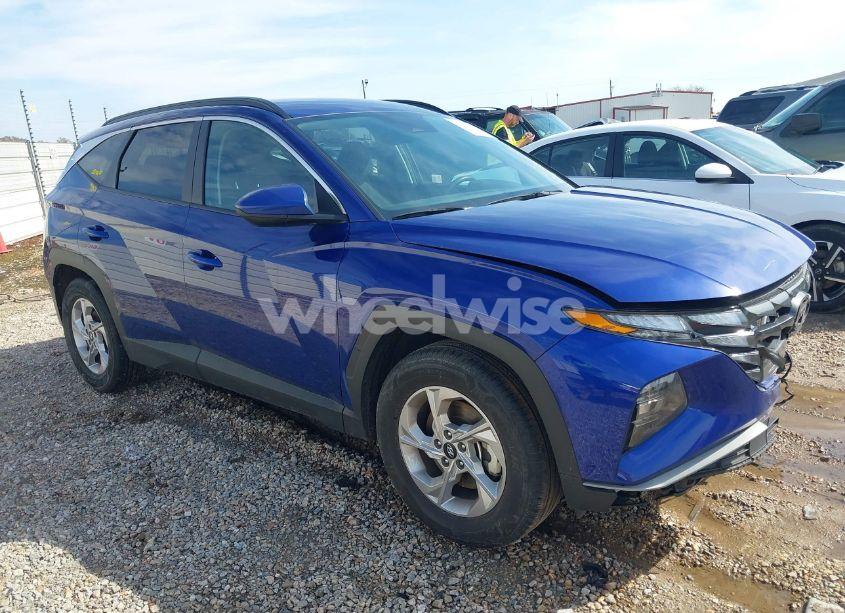 2024 Hyundai Tucson SEL (VIN 5NMJB3DE1RH355570) main photo