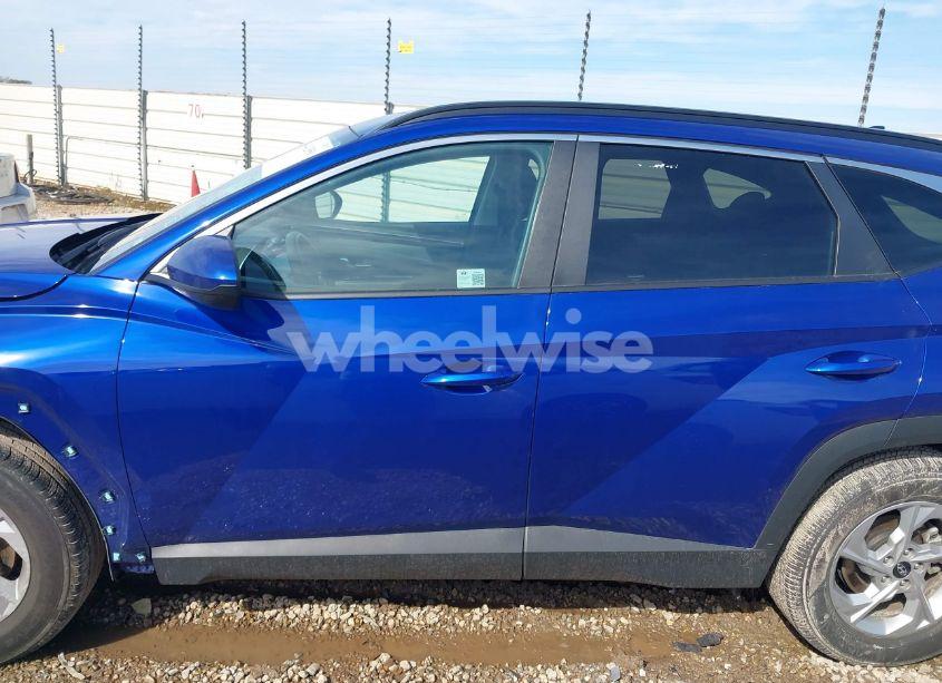 Photo 15 of 2024 Hyundai Tucson SEL (VIN 5NMJB3DE1RH355570)