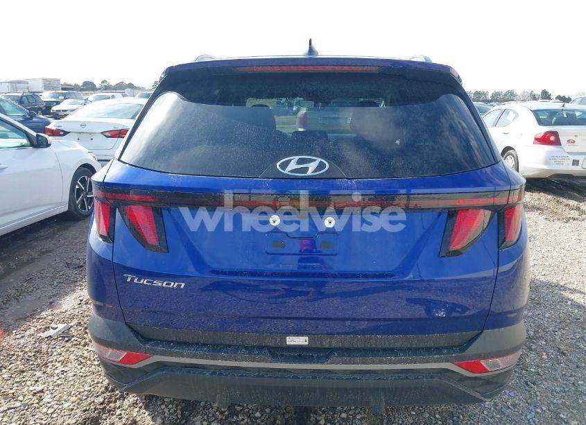Photo 17 of 2024 Hyundai Tucson SEL (VIN 5NMJB3DE1RH355570)
