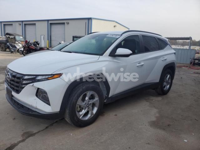 Photo 11 of 2024 HYUNDAI TUCSON SEL (VIN 5NMJB3DE1RH355925)