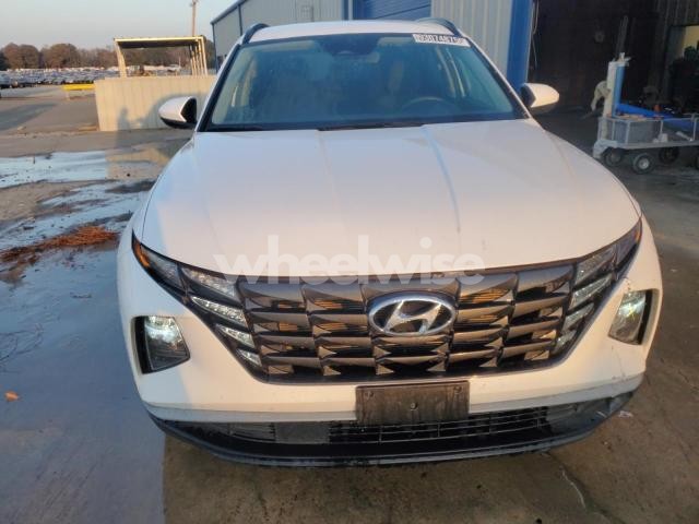 Photo 12 of 2024 HYUNDAI TUCSON SEL (VIN 5NMJB3DE1RH355925)