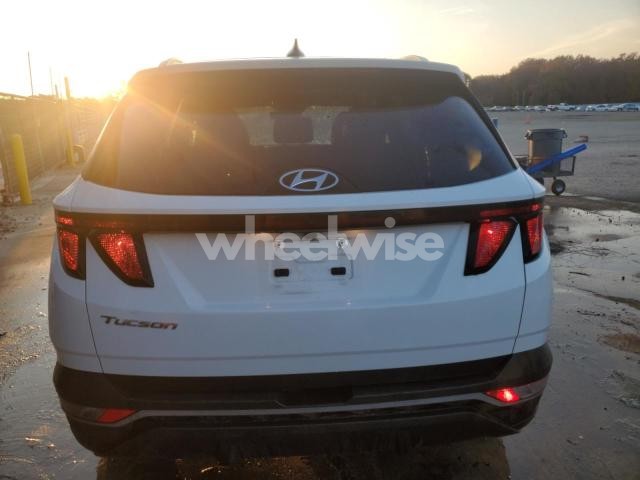 Photo 6 of 2024 HYUNDAI TUCSON SEL (VIN 5NMJB3DE1RH355925)