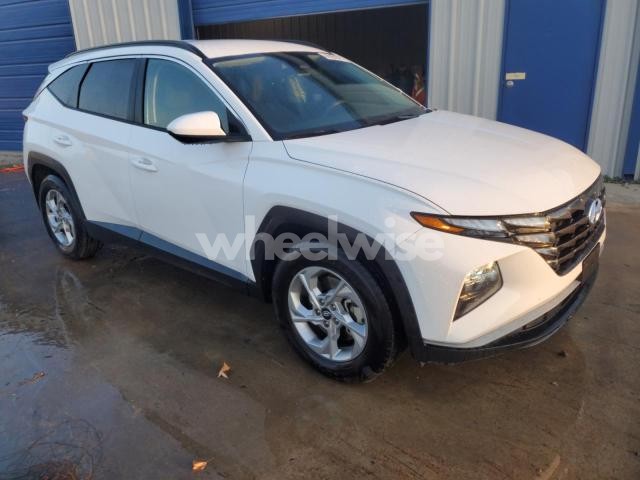 Photo 8 of 2024 HYUNDAI TUCSON SEL (VIN 5NMJB3DE1RH355925)