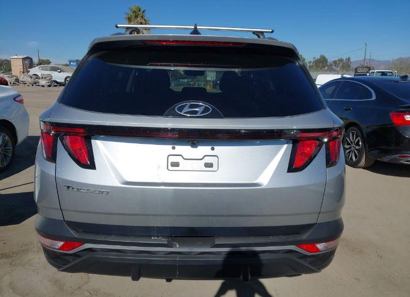 Photo 16 of 2024 Hyundai Tucson SEL (VIN 5NMJB3DE1RH411930)