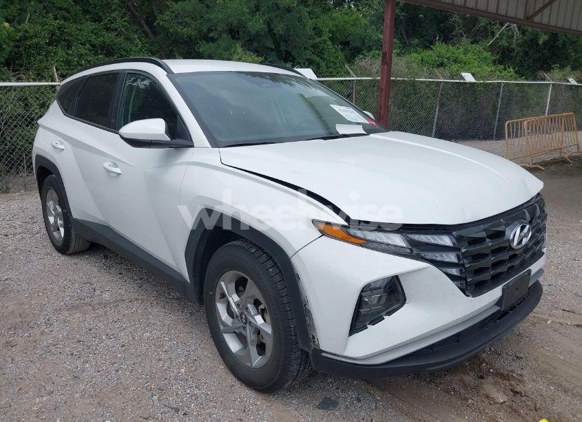 2024 Hyundai Tucson SEL (VIN 5NMJB3DE1RH428288) main photo