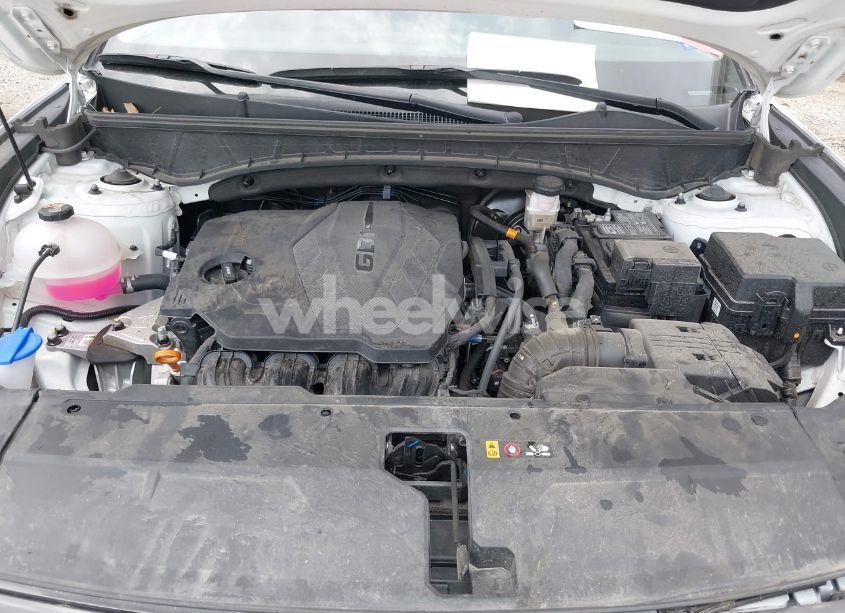 Photo 10 of 2024 Hyundai Tucson SEL (VIN 5NMJB3DE1RH428288)