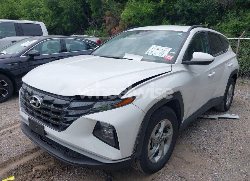 Photo 2 of 2024 Hyundai Tucson SEL (VIN 5NMJB3DE1RH428288)