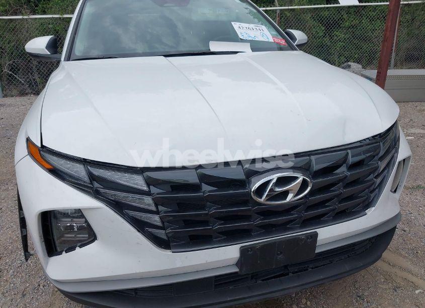 Photo 6 of 2024 Hyundai Tucson SEL (VIN 5NMJB3DE1RH428288)
