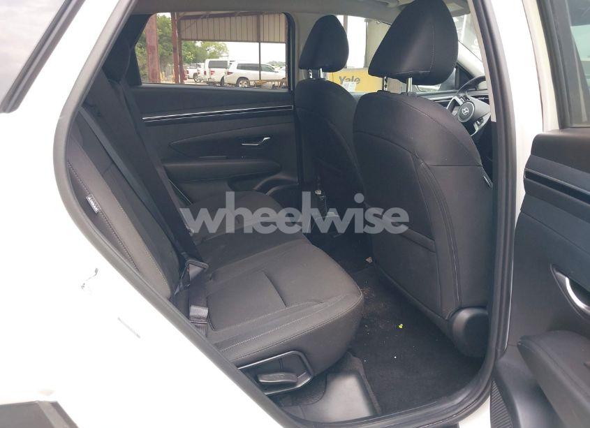 Photo 8 of 2024 Hyundai Tucson SEL (VIN 5NMJB3DE1RH428288)