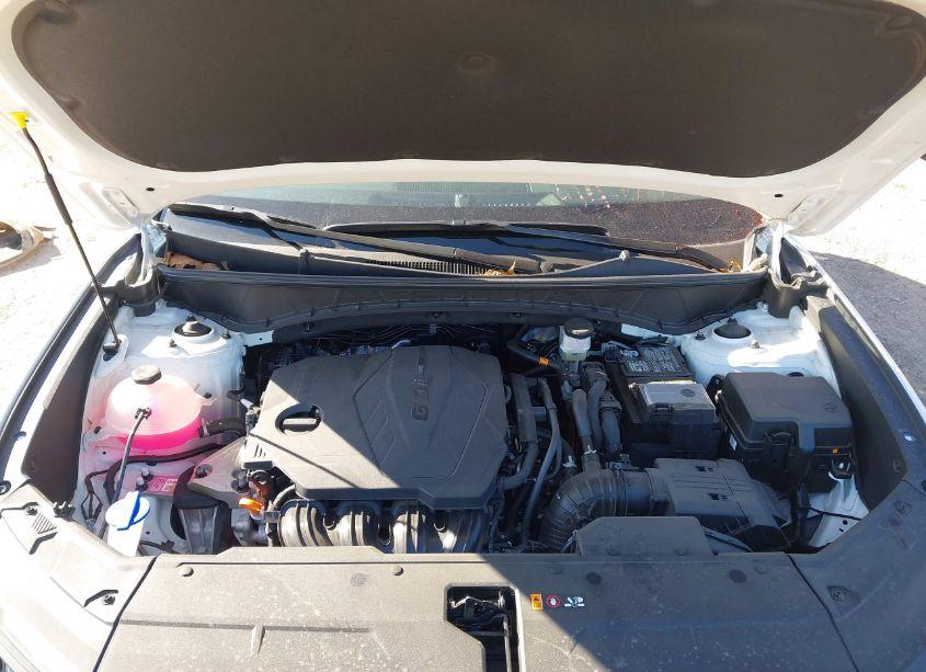 Photo 10 of 2025 Hyundai Tucson SEL (VIN 5NMJB3DE1SH459739)