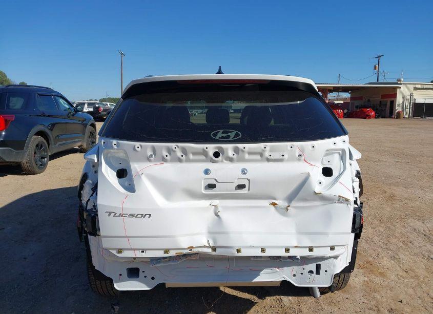 Photo 6 of 2025 Hyundai Tucson SEL (VIN 5NMJB3DE1SH459739)