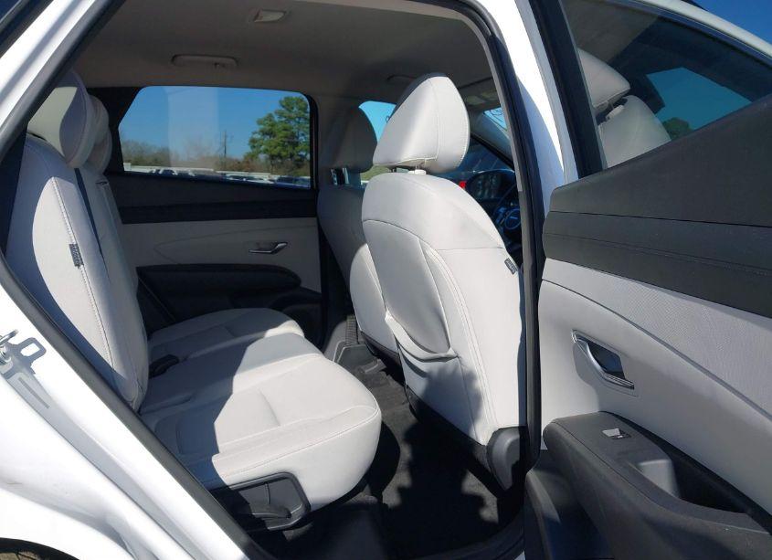 Photo 8 of 2025 Hyundai Tucson SEL (VIN 5NMJB3DE1SH459739)