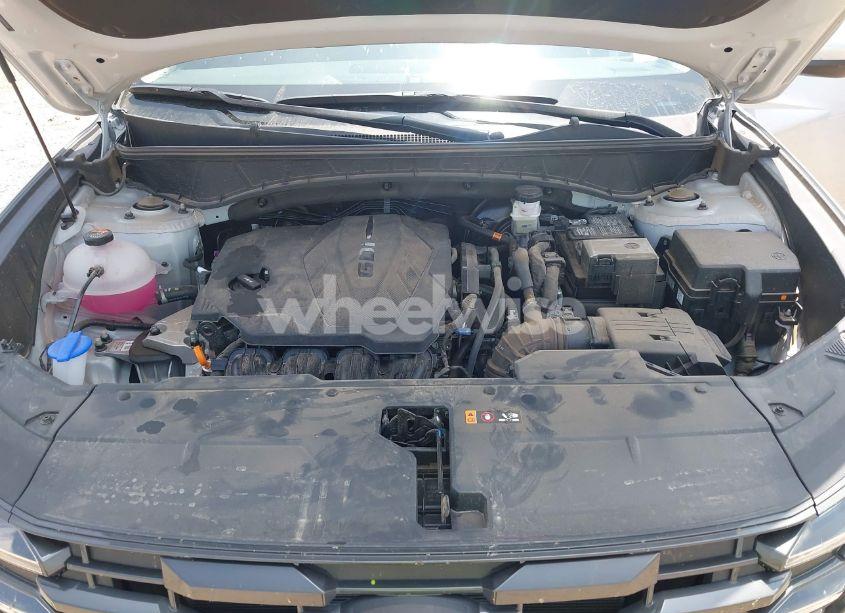 Photo 10 of 2025 Hyundai Tucson SEL (VIN 5NMJB3DE1SH494667)