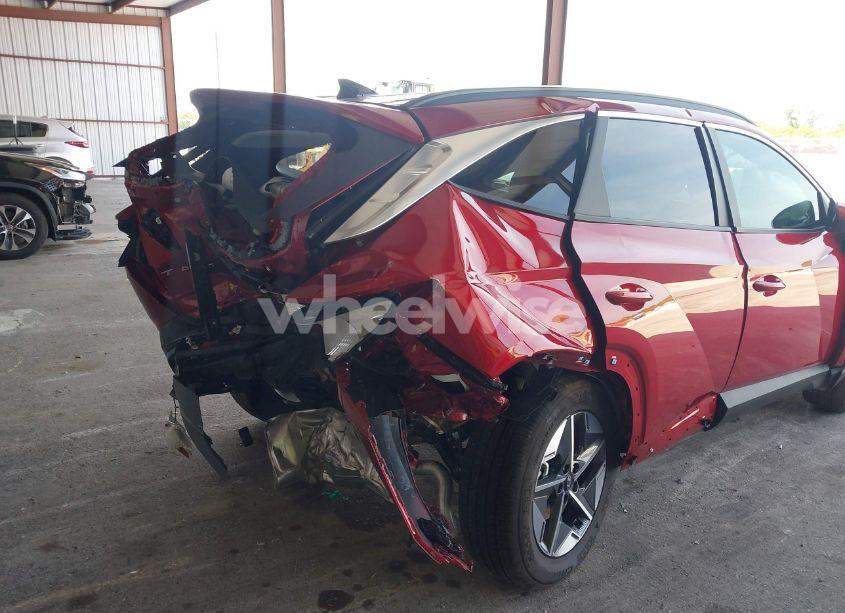 Photo 17 of 2025 Hyundai Tucson SEL (VIN 5NMJB3DE1SH505800)