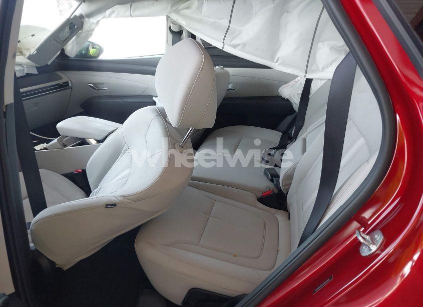 Photo 8 of 2025 Hyundai Tucson SEL (VIN 5NMJB3DE1SH505800)