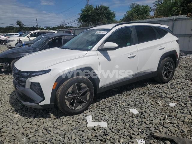Photo 12 of 2025 HYUNDAI TUCSON SEL (VIN 5NMJB3DE1SH541969)