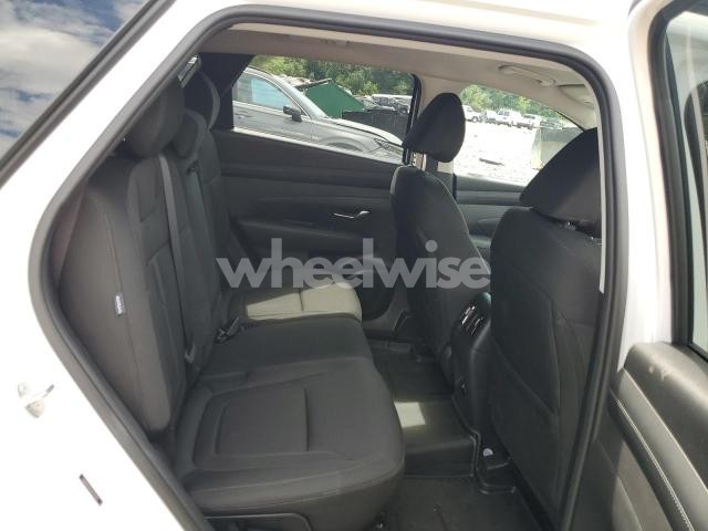 Photo 14 of 2025 HYUNDAI TUCSON SEL (VIN 5NMJB3DE1SH541969)