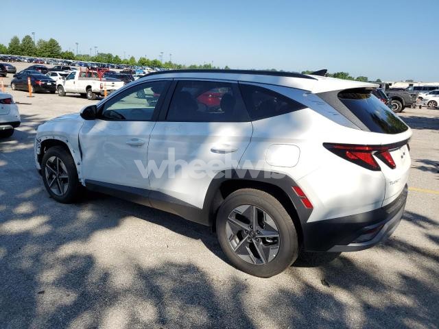 Photo 4 of 2025 HYUNDAI TUCSON SEL (VIN 5NMJB3DE1SH562319)