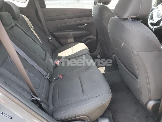 Photo 12 of 2025 HYUNDAI TUCSON SEL (VIN 5NMJB3DE1SH569254)