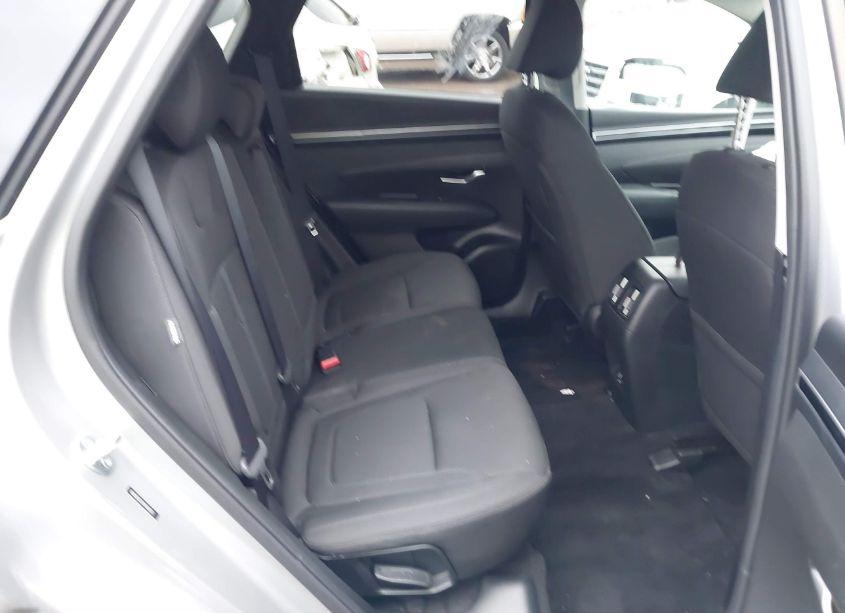Photo 8 of 2024 Hyundai Tucson SEL (VIN 5NMJB3DE2RH404257)