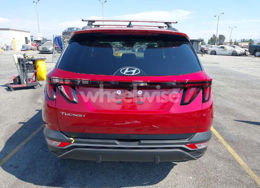 Photo 17 of 2024 Hyundai Tucson SEL (VIN 5NMJB3DE2RH410785)