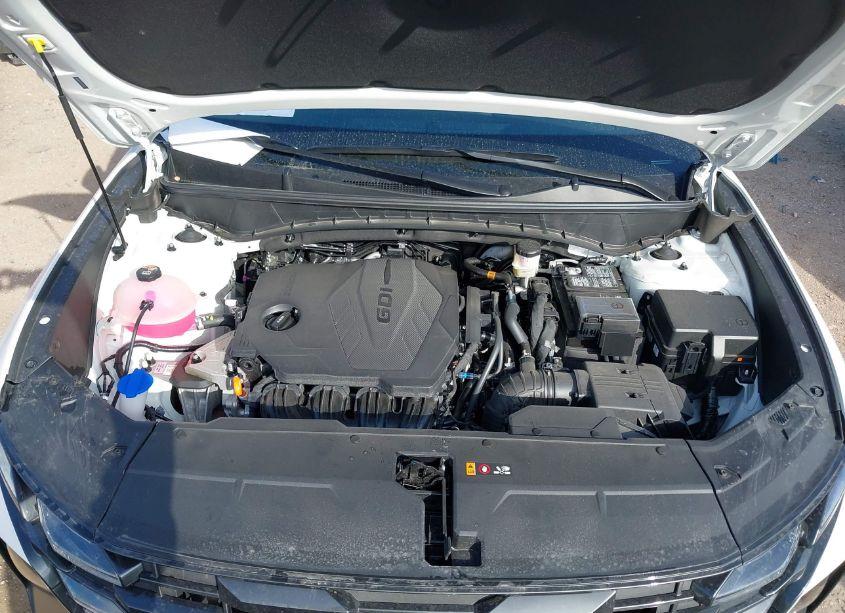 Photo 10 of 2025 Hyundai Tucson SEL (VIN 5NMJB3DE2SH479627)