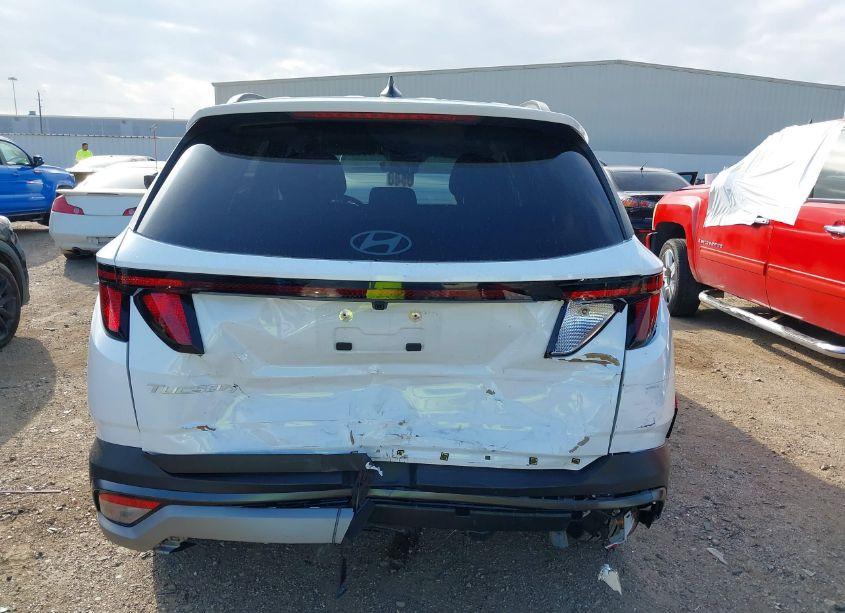 Photo 16 of 2025 Hyundai Tucson SEL (VIN 5NMJB3DE2SH479627)