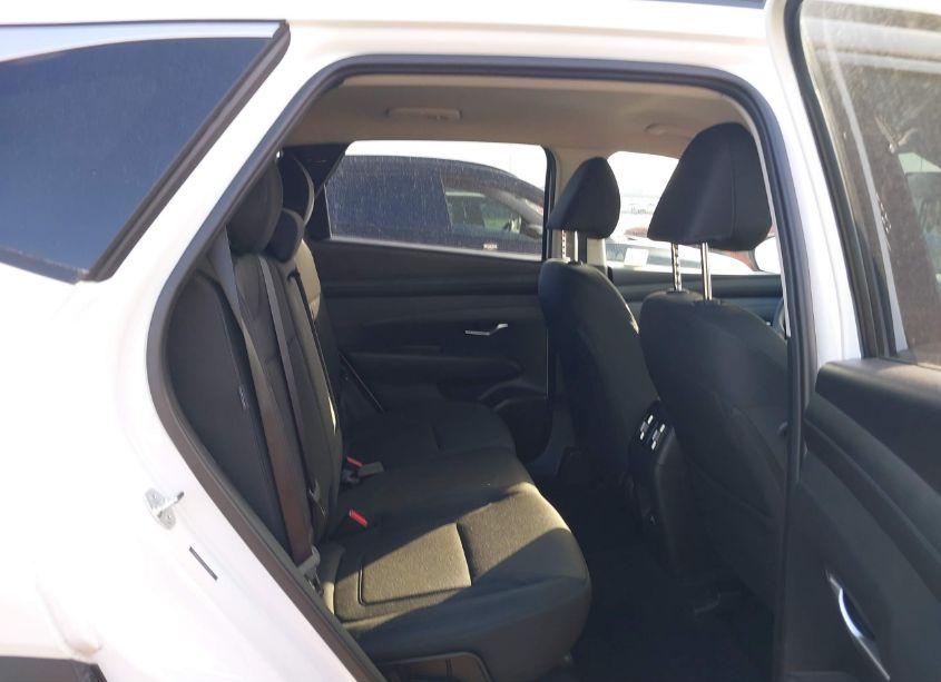 Photo 8 of 2025 Hyundai Tucson SEL (VIN 5NMJB3DE2SH479627)