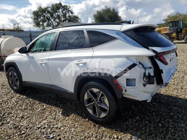 Photo 5 of 2025 HYUNDAI TUCSON SEL (VIN 5NMJB3DE2SH540927)