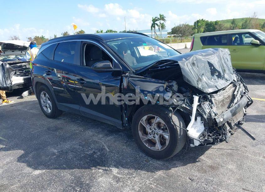 2024 Hyundai Tucson SEL (VIN 5NMJB3DE3RH315250) main photo