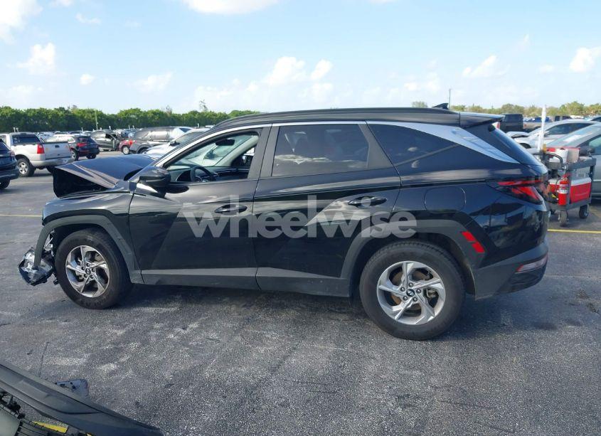 Photo 15 of 2024 Hyundai Tucson SEL (VIN 5NMJB3DE3RH315250)