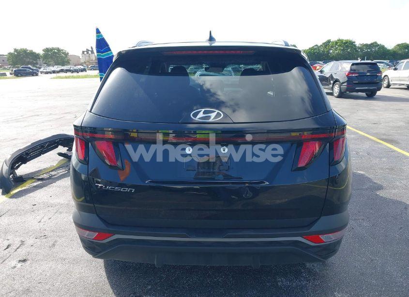 Photo 17 of 2024 Hyundai Tucson SEL (VIN 5NMJB3DE3RH315250)