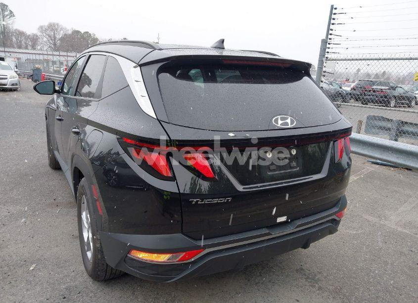 Photo 16 of 2024 Hyundai Tucson SEL (VIN 5NMJB3DE3RH343369)