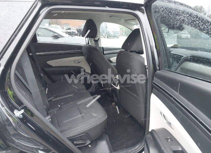 Photo 8 of 2024 Hyundai Tucson SEL (VIN 5NMJB3DE3RH343369)