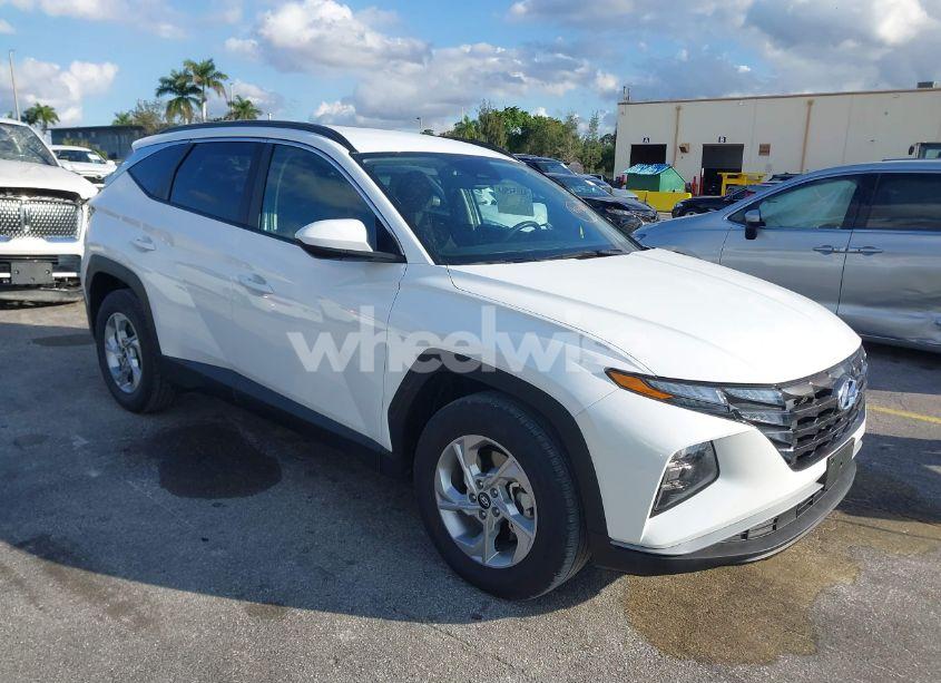 2024 Hyundai Tucson SEL (VIN 5NMJB3DE3RH361984) main photo