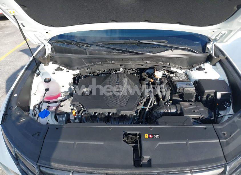 Photo 10 of 2024 Hyundai Tucson SEL (VIN 5NMJB3DE3RH361984)
