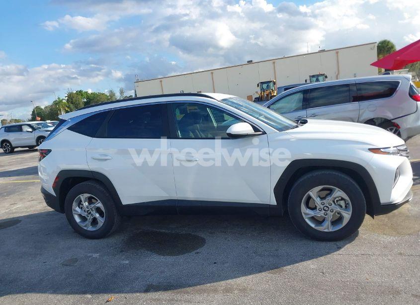 Photo 13 of 2024 Hyundai Tucson SEL (VIN 5NMJB3DE3RH361984)