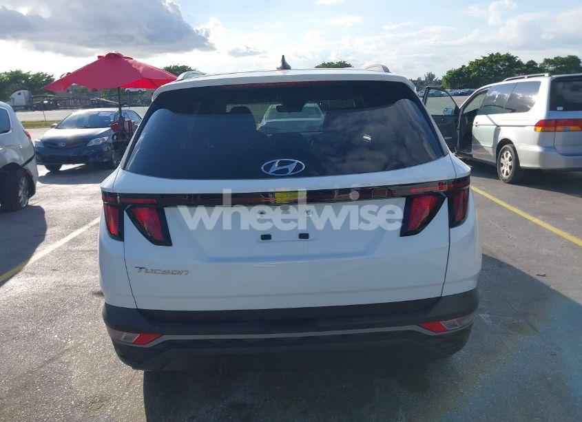 Photo 16 of 2024 Hyundai Tucson SEL (VIN 5NMJB3DE3RH361984)