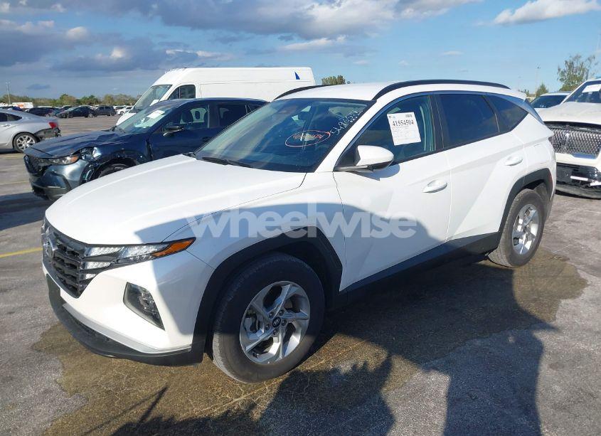 Photo 2 of 2024 Hyundai Tucson SEL (VIN 5NMJB3DE3RH361984)