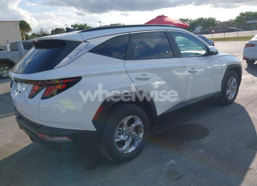 Photo 4 of 2024 Hyundai Tucson SEL (VIN 5NMJB3DE3RH361984)