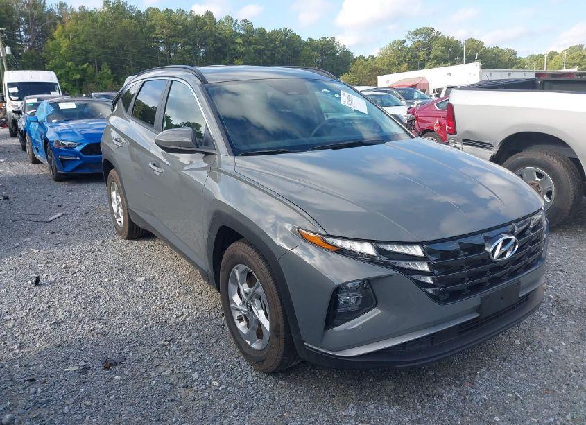 2024 Hyundai Tucson SEL (VIN 5NMJB3DE3RH397027) main photo