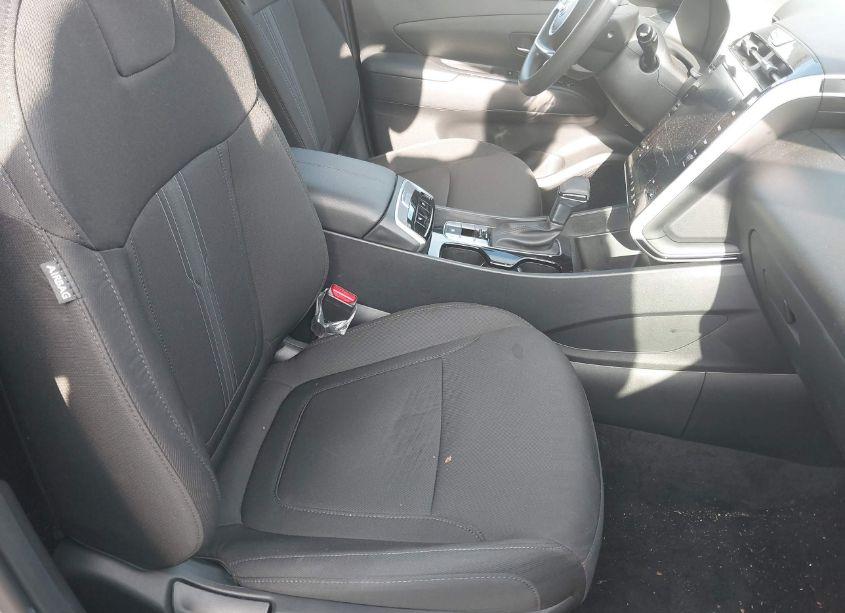 Photo 5 of 2024 Hyundai Tucson SEL (VIN 5NMJB3DE3RH397027)